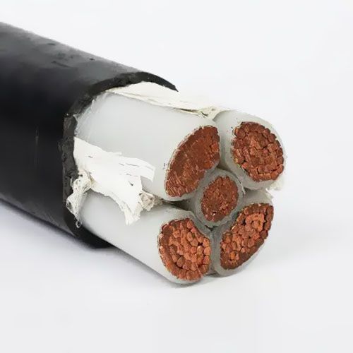 �P����|���O����Щ��ʽ��